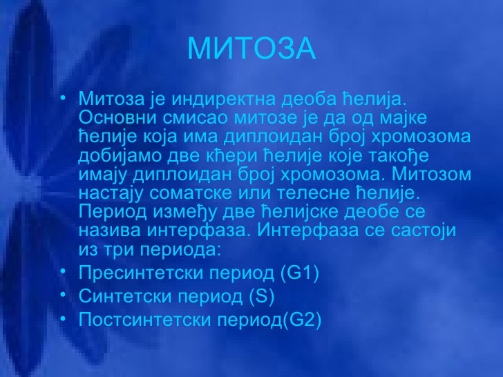 mitoza mejoza