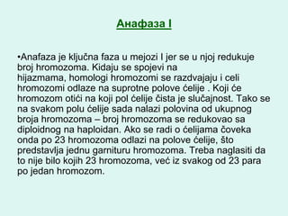 Aнафаза I

•Anafaza je ključna faza u mejozi I jer se u njoj redukuje
broj hromozoma. Kidaju se spojevi na
hijazmama, homologi hromozomi se razdvajaju i celi
hromozomi odlaze na suprotne polove ćelije . Koji će
hromozom otići na koji pol ćelije čista je slučajnost. Tako se
na svakom polu ćelije sada nalazi polovina od ukupnog
broja hromozoma – broj hromozoma se redukovao sa
diploidnog na haploidan. Ako se radi o ćelijama čoveka
onda po 23 hromozoma odlazi na polove ćelije, što
predstavlja jednu garnituru hromozoma. Treba naglasiti da
to nije bilo kojih 23 hromozoma, već iz svakog od 23 para
po jedan hromozom.
 
