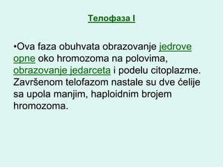 Телофаза I


•Ova faza obuhvata obrazovanje jedrove
opne oko hromozoma na polovima,
obrazovanje jedarceta i podelu citoplazme.
Završenom telofazom nastale su dve ćelije
sa upola manjim, haploidnim brojem
hromozoma.
 