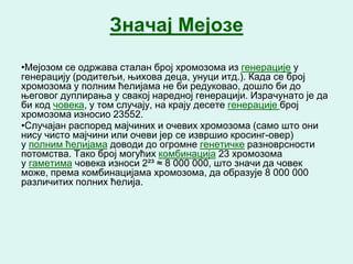 Значај Мејозе

•Мејозом се одржава сталан број хромозома из генерације у
генерацију (родитељи, њихова деца, унуци итд.). Када се број
хромозома у полним ћелијама не би редуковао, дошло би до
његовог дуплирања у свакој наредној генерацији. Израчунато је да
би код човека, у том случају, на крају десете генерације број
хромозома износио 23552.
•Случајан распоред мајчиних и очевих хромозома (само што они
нису чисто мајчини или очеви јер се извршио кросинг-овер)
у полним ћелијама доводи до огромне генетичке разноврсности
потомства. Тако број могућих комбинација 23 хромозома
у гаметима човека износи 2²³ ≈ 8 000 000, што значи да човек
може, према комбинацијама хромозома, да образује 8 000 000
различитих полних ћелија.
 