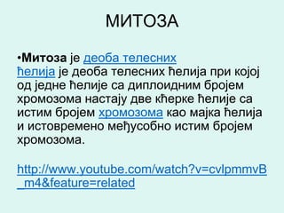 МИТОЗА

•Митоза је деоба телесних
ћелија је деоба телесних ћелија при којој
од једне ћелије са диплоидним бројем
хромозома настају две кћерке ћелије са
истим бројем хромозома као мајка ћелија
и истовремено међусобно истим бројем
хромозома.

http://www.youtube.com/watch?v=cvlpmmvB
_m4&feature=related
 