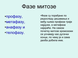 Фазе митозе
•профазу,    •Фазе су поређане по
             редоследу дешавања и
•метафазу,   међу њима профаза траје
             најдуже, а метафаза
•анафазу и   најкраће. На самом
             почетку митозе хромозоми
•телофазу.   се уочавају као дугачки
             конци, по чему је и сама
             деоба добила име.
 
