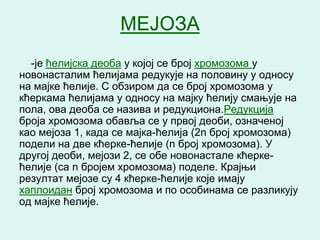 МЕЈОЗА
  -је ћелијска деоба у којој се број хромозома у
новонасталим ћелијама редукује на половину у односу
на мајке ћелије. С обзиром да се број хромозома у
кћеркама ћелијама у односу на мајку ћелију смањује на
пола, ова деоба се назива и редукциона.Редукција
броја хромозома обавља се у првој деоби, означеној
као мејоза 1, када се мајка-ћелија (2n број хромозома)
подели на две кћерке-ћелије (n број хромозома). У
другој деоби, мејози 2, се обе новонастале кћерке-
ћелије (са n бројем хромозома) поделе. Крајњи
резултат мејозе су 4 кћерке-ћелије које имају
хаплоидан број хромозома и по особинама се разликују
од мајке ћелије.
 