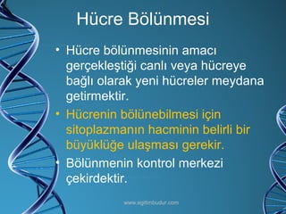 Hücre Bölünmesi Hücre bölünmesinin amacı gerçekleştiği canlı veya hücreye bağlı olarak yeni hücreler meydana getirmektir. Hücrenin bölünebilmesi için sitoplazmanın hacminin belirli bir büyüklüğe ulaşması gerekir. Bölünmenin kontrol merkezi çekirdektir. www.egitimbudur.com 