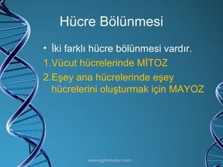 Hücre Bölünmesi İki farklı hücre bölünmesi vardır. Vücut hücrelerinde MİTOZ Eşey ana hücrelerinde eşey hücrelerini oluşturmak için MAYOZ www.egitimbudur.com 