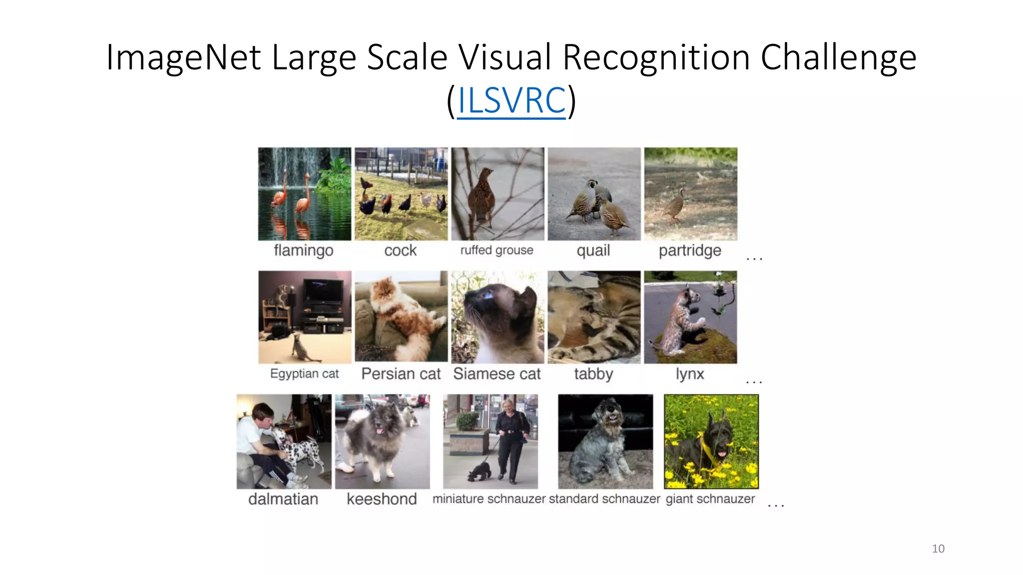 ImageNet Large Scale Visual Recognition Challenge
(ILSVRC)
10
 