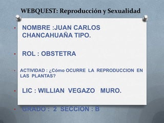 WEBQUEST: Reproducción y Sexualidad
•

NOMBRE :JUAN CARLOS
CHANCAHUAÑA TIPO.

•

ROL : OBSTETRA

•

ACTIVIDAD : ¿Cómo OCURRE LA REPRODUCCION EN
LAS PLANTAS?

•

LIC : WILLIAN VEGAZO MURO.

•

GRADO : 2 SECCION : B

 