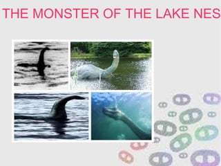 THE MONSTER OF THE LAKE NESS
 
