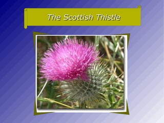 EIRE (Capital: DUBLIN).  