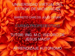 UNIVERSIDAD VIRTUAL DEL
ESTADO DE MICHOACAN
BARRETO CARLOS JULIO CESAR
TUTOR: ING. M.C. ISIDORO DE
JESUS MACIP
APRENDIZAJE AUTONOMO
 