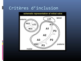Critères d’inclusion 
 