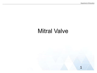 Mitral Valve
1
 