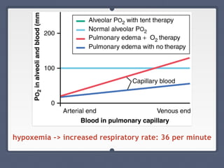 hypoxemia -> increased respiratory rate: 36 per minute
 