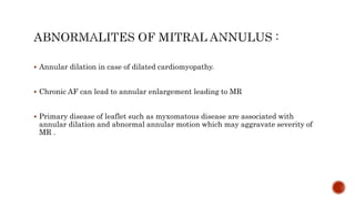  Annular dilation in case of dilated cardiomyopathy.
 Chronic AF can lead to annular enlargement leading to MR
 Primary disease of leaflet such as myxomatous disease are associated with
annular dilation and abnormal annular motion which may aggravate severity of
MR .
 