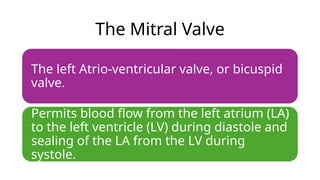 The Mitral Valve
The left Atrio-ventricular valve, or bicuspid
valve.
Permits blood flow from the left atrium (LA)
to the left ventricle (LV) during diastole and
sealing of the LA from the LV during
systole.
 