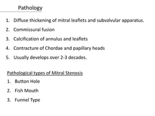 Pathology
1. Diffuse thickening of mitral leaflets and subvalvular apparatus.
2. Commissural fusion
3. Calcification of annulus and leaflets
4. Contracture of Chordae and papillary heads
5. Usually develops over 2-3 decades.
Pathological types of Mitral Stenosis
1. Button Hole
2. Fish Mouth
3. Funnel Type
 