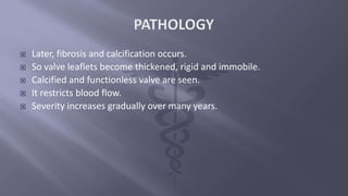  Later, fibrosis and calcification occurs.
 So valve leaflets become thickened, rigid and immobile.
 Calcified and functionless valve are seen.
 It restricts blood flow.
 Severity increases gradually over many years.
 