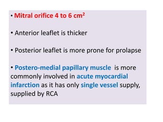 • Mitral orifice 4 to 6 cm2
• Anterior leaflet is thicker
• Posterior leaflet is more prone for prolapse
• Postero-medial papillary muscle is more
commonly involved in acute myocardial
infarction as it has only single vessel supply,
supplied by RCA
 