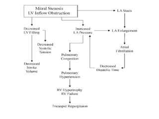 Mitral Stenosis- Pathophysiology, diagnosis and management | PPTX