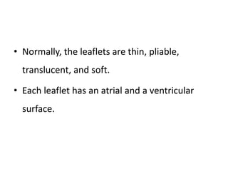 • Normally, the leaflets are thin, pliable,
translucent, and soft.
• Each leaflet has an atrial and a ventricular
surface.
 