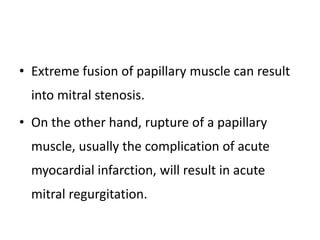 • Extreme fusion of papillary muscle can result
into mitral stenosis.
• On the other hand, rupture of a papillary
muscle, usually the complication of acute
myocardial infarction, will result in acute
mitral regurgitation.
 