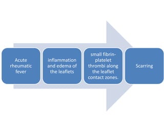 Acute
rheumatic
fever
inflammation
and edema of
the leaflets
small fibrin-
platelet
thrombi along
the leaflet
contact zones.
Scarring
 