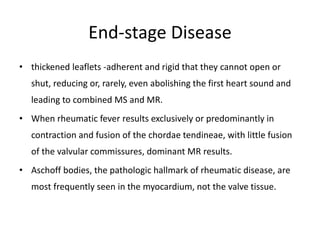 End-stage Disease
• thickened leaflets -adherent and rigid that they cannot open or
shut, reducing or, rarely, even abolishing the first heart sound and
leading to combined MS and MR.
• When rheumatic fever results exclusively or predominantly in
contraction and fusion of the chordae tendineae, with little fusion
of the valvular commissures, dominant MR results.
• Aschoff bodies, the pathologic hallmark of rheumatic disease, are
most frequently seen in the myocardium, not the valve tissue.
 