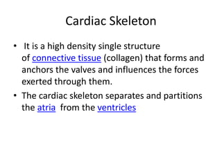 Cardiac Skeleton
• It is a high density single structure
of connective tissue (collagen) that forms and
anchors the valves and influences the forces
exerted through them.
• The cardiac skeleton separates and partitions
the atria from the ventricles
 