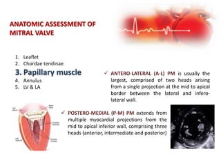 ANATOMIC ASSESSMENT OF
MITRAL VALVE
1. Leaflet
2. Chordae tendinae
3. Papillary muscle
4. Annulus
5. LV & LA
 ANTERO-LATERAL (A-L) PM is usually the
largest, comprised of two heads arising
from a single projection at the mid to apical
border between the lateral and infero-
lateral wall.
 POSTERO-MEDIAL (P-M) PM extends from
multiple myocardial projections from the
mid to apical inferior wall, comprising three
heads (anterior, intermediate and posterior)
 