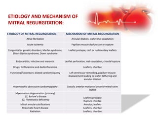 ETIOLOGY AND MECHANISM OF
MITRAL REGURGITATION:
ETIOLOGY OF MITRAL REGURGITATION MECHANISM OF MITRAL REGURGITATION
Atrial fibrillation Annular dilation, leaflet mal-coaptation
Acute ischemia Papillary muscle dysfunction or rupture
Congenital or genetic disorders; Marfan syndrome,
Ehlers-Danlos syndrome, Down syndrome
Leaflet prolapse, cleft or rudimentary leaflets
Endocarditis; infective and marantic Leaflet perforation, mal-coaptation, chordal rupture
Drugs; fenfluramine and dexfenfluramine Leaflets, chordae
Functional/secondary; dilated cardiomyopathy Left ventricular remolding, papillary muscle
displacement leading to leaflet tethering and
annulus dilation
Hypertrophic obstructive cardiomyopathy Systolic anterior motion of anterior mitral valve
leaflet
Myxomatous degeneration (primary)
(1) Barlow’s disease
(2) Fibroelastic deficiency
Leaflets prolapse
Rupture chordae
Mitral annular calcifications Annulus, leaflets
Rheumatic heart disease Leaflets, chordae
Radiation Leaflets, chordae
 