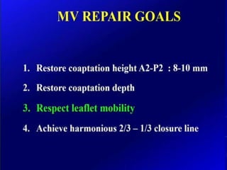 Mitral valve current challenges