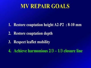 Mitral valve current challenges