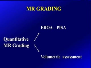 Mitral valve current challenges