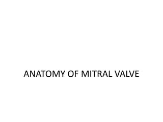 ANATOMY OF MITRAL VALVE
 