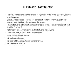 RHEUMATIC HEART DISEASE
• insidious fibrotic process that affects all segments of the mitral apparatus, as well
as other valves
• group A streptococcal antigens and epitopes found on human tissue stimulate
autoimmune mediated damage to cardiac tissue.
• The mitral valve is the most commonly affected (isolated mitral stenosis is found
in 40% of patients),
• followed by concomitant aortic and mitral valve disease, and
• least frequently isolated aortic valve disease.
• Early valvular lesions include:
• (1) leaflet thickening.
• (2) chordal thickening, fusion, and shortening.
• (3) commissural fusion.
 