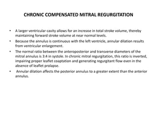 CHRONIC COMPENSATED MITRAL REGURGITATION
• A larger ventricular cavity allows for an increase in total stroke volume, thereby
maintaining forward stroke volume at near normal levels.
• Because the annulus is continuous with the left ventricle, annular dilation results
from ventricular enlargement.
• The normal ratio between the anteroposterior and transverse diameters of the
mitral annulus is 3:4 in systole. In chronic mitral regurgitation, this ratio is inverted,
impairing proper leaflet coaptation and generating regurgitant flow even in the
absence of leaflet prolapse.
• Annular dilation affects the posterior annulus to a greater extent than the anterior
annulus.
 