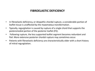 FIBROELASTIC DEFICIENCY
• In fibroelastic deficiency, or idiopathic chordal rupture, a considerable portion of
leaflet tissue is unaffected by the myxomatous transformation .
• Typically, regurgitation is caused by rupture of a single chord that supports the
posteromedial portion of the posterior leaflet (P2).
• Following rupture, the less supported leaflet segment becomes redundant and
flail. More extensive posterior chordal rupture may sometimes occur.
• Patients with fibroelastic deficiency are characteristically older with a short history
of mitral regurgitation.
 