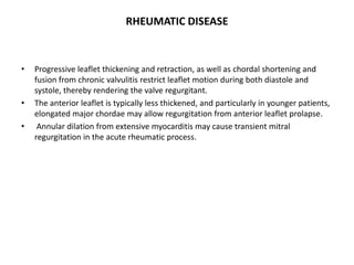 RHEUMATIC DISEASE
• Progressive leaflet thickening and retraction, as well as chordal shortening and
fusion from chronic valvulitis restrict leaflet motion during both diastole and
systole, thereby rendering the valve regurgitant.
• The anterior leaflet is typically less thickened, and particularly in younger patients,
elongated major chordae may allow regurgitation from anterior leaflet prolapse.
• Annular dilation from extensive myocarditis may cause transient mitral
regurgitation in the acute rheumatic process.
 