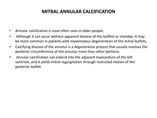 MITRAL ANNULAR CALCIFICATION
• Annular calcification is most often seen in older people.
• Although it can occur without apparent disease of the leaflets or chordae, it may
be more common in patients with myxomatous degeneration of the mitral leaflets.
• Calcifying disease of the annulus is a degenerative process that usually involves the
posterior circumference of the annulus more than other portions.
• Annular calcification can extend into the adjacent myocardium of the left
ventricle, and it yields mitral regurgitation through restricted motion of the
posterior leaflet.
 