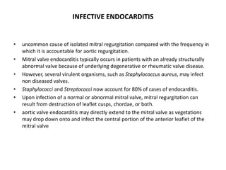 INFECTIVE ENDOCARDITIS
• uncommon cause of isolated mitral regurgitation compared with the frequency in
which it is accountable for aortic regurgitation.
• Mitral valve endocarditis typically occurs in patients with an already structurally
abnormal valve because of underlying degenerative or rheumatic valve disease.
• However, several virulent organisms, such as Staphylococcus aureus, may infect
non diseased valves.
• Staphylococci and Streptococci now account for 80% of cases of endocarditis.
• Upon infection of a normal or abnormal mitral valve, mitral regurgitation can
result from destruction of leaflet cusps, chordae, or both.
• aortic valve endocarditis may directly extend to the mitral valve as vegetations
may drop down onto and infect the central portion of the anterior leaflet of the
mitral valve
 