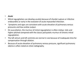 • Acute
• Mitral regurgitation can develop acutely because of chordal rupture or infective
endocarditis or early in the evolution of acute myocardial infarction.
• Symptoms and signs are consistent with acute elevation of pulmonary venous
pressures and low cardiac output.
• On auscultation, the murmur of mitral regurgitation is often midsys- tolic and
higher pitched compared with the classic pansystolic murmur of chronic mitral
regurgitation.
• The left atrium and left ventricle are normal in size because of inadequate time for
compensation through dilation.
• Because of acute elevation of pulmonary venous pressure, significant pulmonary
edema is often noted on chest radiography.
 