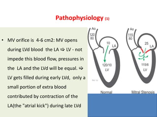 Pathophysiology (1)
• MV orifice is 4-6 cm2: MV opens
during LVd blood the LA  LV - not
impede this blood flow, pressures in
the LA and the LVd will be equal. 
LV gets filled during early LVd, only a
small portion of extra blood
contributed by contraction of the
LA(the "atrial kick") during late LVd
 