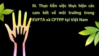 III. Thực tiễn việc thực hiện các
cam kết về môi trường trong
EVFTA và CPTPP tại Việt Nam
 