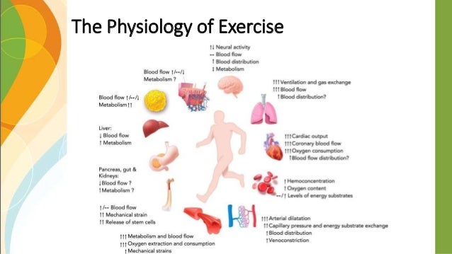 2016 Physical Activity and Aging Mitrovich