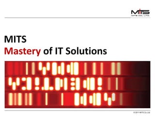 MITS Mastery  of IT Solutions 