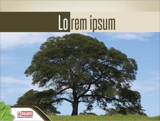 Mitsubishi - PowerPoint Conceitual