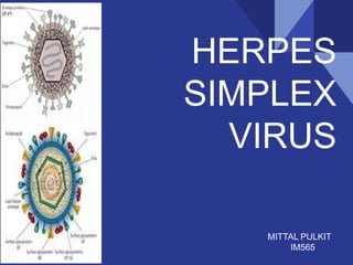HERPES
SIMPLEX
VIRUS
MMITTAL PULKIT
IM565
 