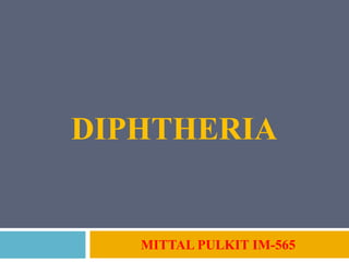 DIPHTHERIA
MITTAL PULKIT IM-565
 