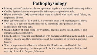 Meningococcal Infection 13032024 WEDNESDAY.pptx
