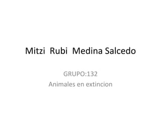 Mitzi Rubi Medina Salcedo
GRUPO:132
Animales en extincion
 